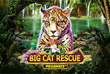 Big Cat Rescue Megawaysâ¢